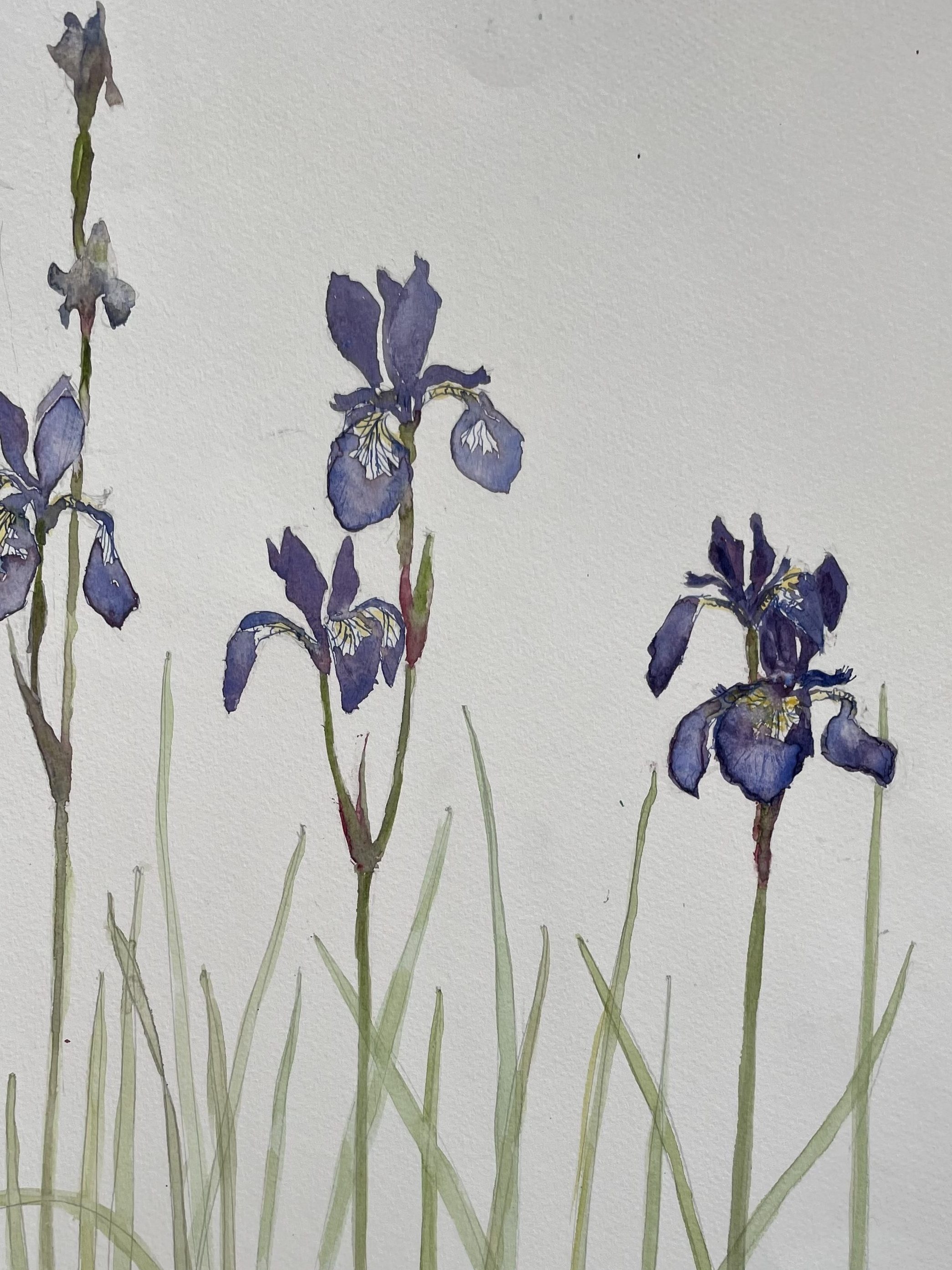 Donegal painting Irish artist art painting watercolour Ireland Katharine Temple