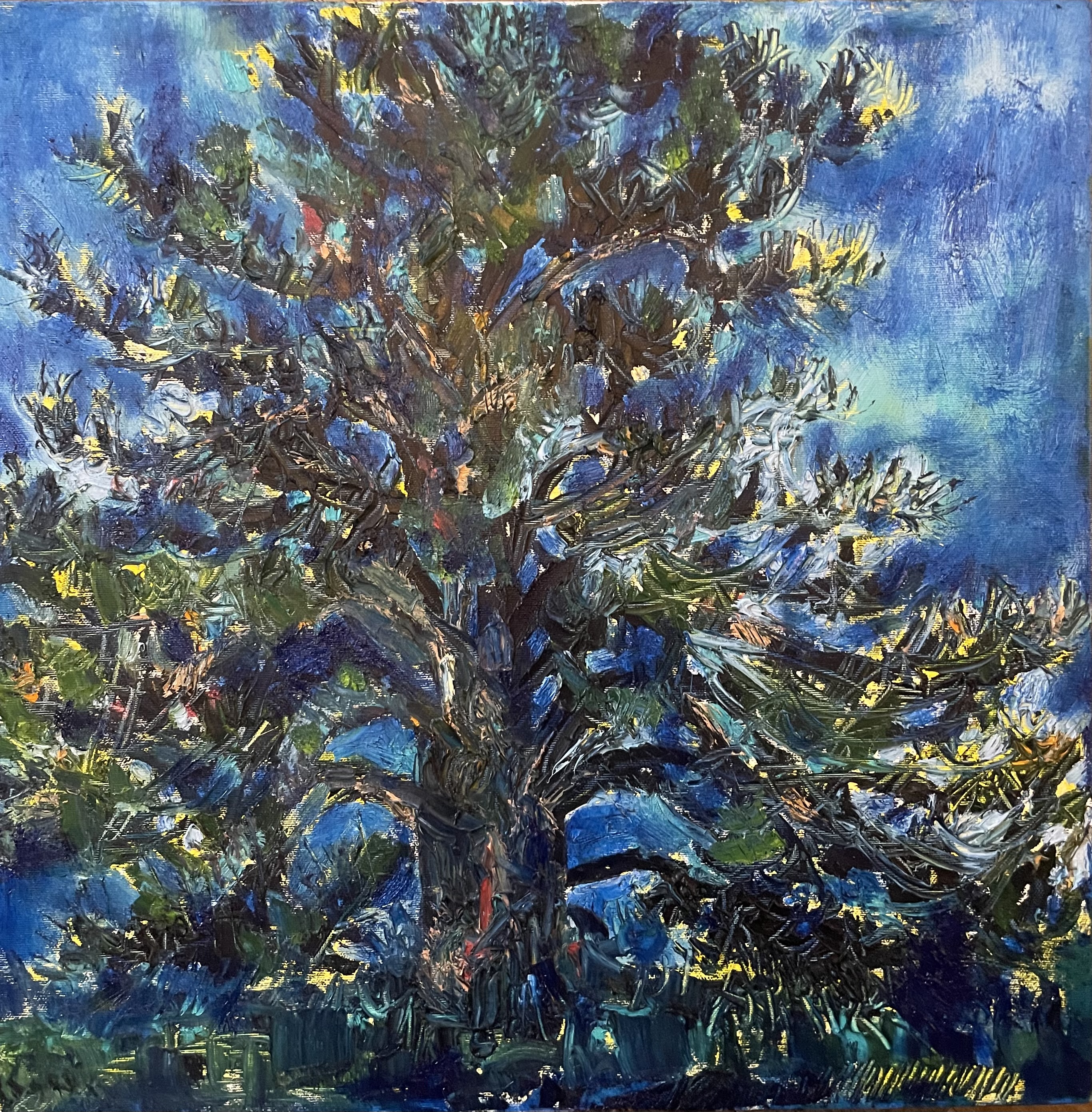 Katharine Temple oil tree Headfort Ireland artist Irish painting 